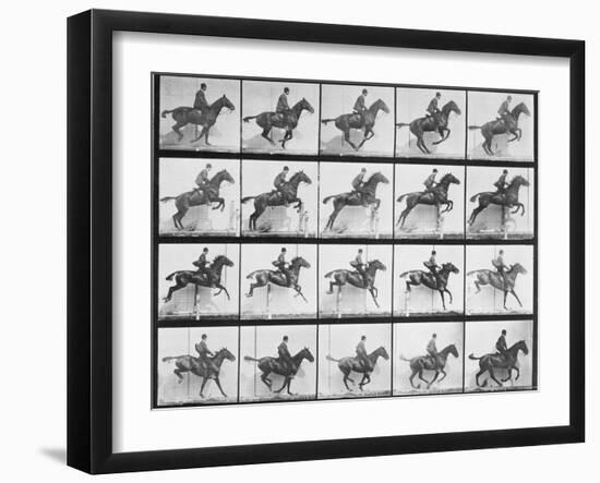 Man and Horse Jumping a Fence, Plate 640 from Animal Locomotion, 1887-Eadweard Muybridge-Framed Giclee Print