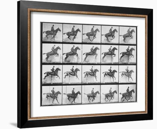 Man and Horse Jumping a Fence, Plate 640 from Animal Locomotion, 1887-Eadweard Muybridge-Framed Giclee Print