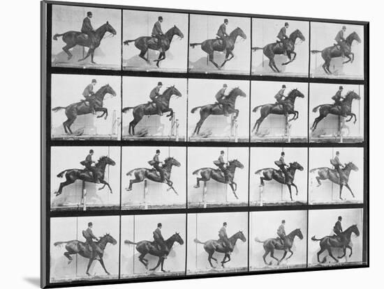 Man and Horse Jumping a Fence, Plate 640 from Animal Locomotion, 1887-Eadweard Muybridge-Mounted Giclee Print