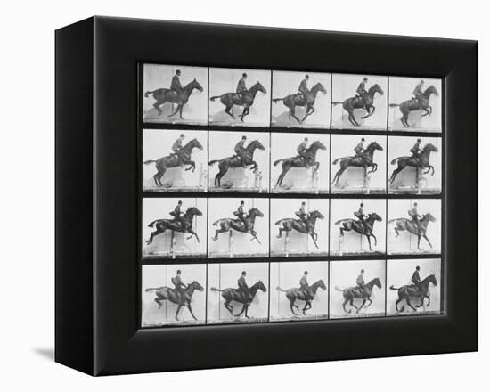 Man and Horse Jumping a Fence, Plate 640 from Animal Locomotion, 1887-Eadweard Muybridge-Framed Premier Image Canvas