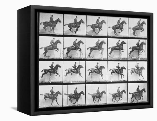 Man and Horse Jumping a Fence, Plate 640 from Animal Locomotion, 1887-Eadweard Muybridge-Framed Premier Image Canvas