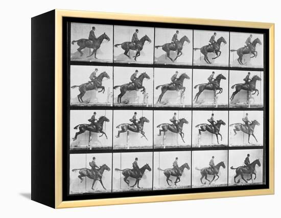 Man and Horse Jumping a Fence, Plate 640 from Animal Locomotion, 1887-Eadweard Muybridge-Framed Premier Image Canvas