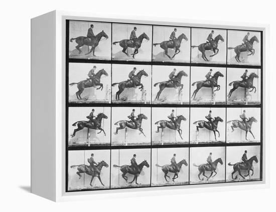 Man and Horse Jumping a Fence, Plate 640 from Animal Locomotion, 1887-Eadweard Muybridge-Framed Premier Image Canvas