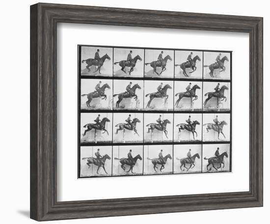 Man and Horse Jumping a Fence, Plate 640 from Animal Locomotion, 1887-Eadweard Muybridge-Framed Giclee Print