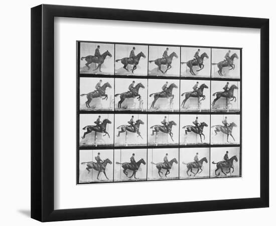 Man and Horse Jumping a Fence, Plate 640 from Animal Locomotion, 1887-Eadweard Muybridge-Framed Giclee Print