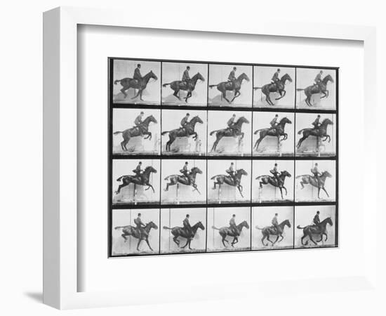 Man and Horse Jumping a Fence, Plate 640 from Animal Locomotion, 1887-Eadweard Muybridge-Framed Giclee Print