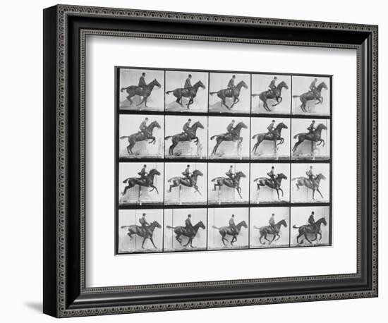 Man and Horse Jumping a Fence, Plate 640 from Animal Locomotion, 1887-Eadweard Muybridge-Framed Giclee Print