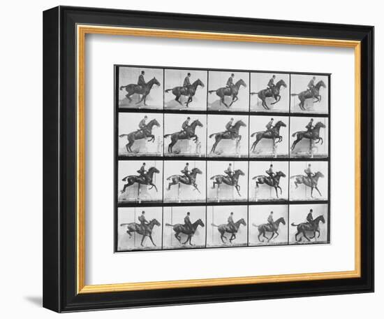 Man and Horse Jumping a Fence, Plate 640 from Animal Locomotion, 1887-Eadweard Muybridge-Framed Giclee Print