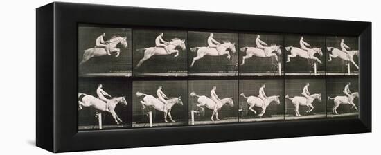 Man and horse jumping a fence, plate 643 from 'Animal Locomotion', 1887-Eadweard Muybridge-Framed Premier Image Canvas