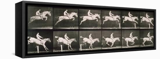 Man and horse jumping a fence, plate 643 from 'Animal Locomotion', 1887-Eadweard Muybridge-Framed Premier Image Canvas