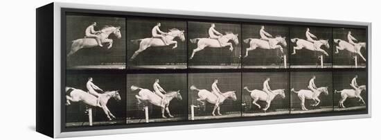Man and horse jumping a fence, plate 643 from 'Animal Locomotion', 1887-Eadweard Muybridge-Framed Premier Image Canvas