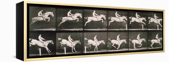 Man and horse jumping a fence, plate 643 from 'Animal Locomotion', 1887-Eadweard Muybridge-Framed Premier Image Canvas