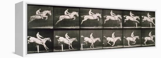 Man and horse jumping a fence, plate 643 from 'Animal Locomotion', 1887-Eadweard Muybridge-Framed Premier Image Canvas