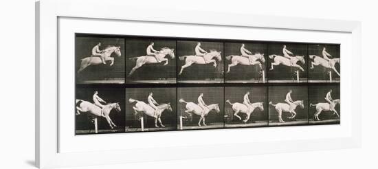 Man and horse jumping a fence, plate 643 from 'Animal Locomotion', 1887-Eadweard Muybridge-Framed Giclee Print