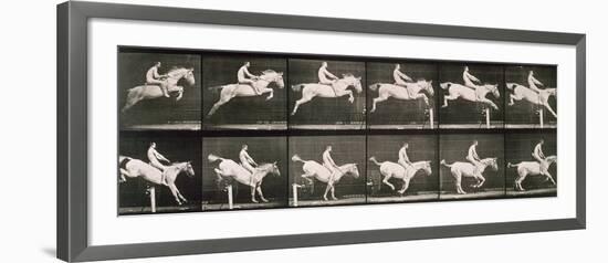 Man and horse jumping a fence, plate 643 from 'Animal Locomotion', 1887-Eadweard Muybridge-Framed Giclee Print