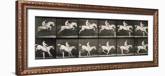 Man and horse jumping a fence, plate 643 from 'Animal Locomotion', 1887-Eadweard Muybridge-Framed Giclee Print