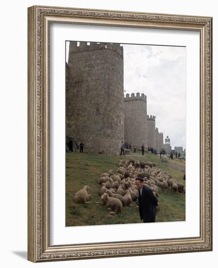 Man and sheep Surrounding Avila, Rebuilt by Alfonso VI in 1090 Ad, 9 Gate Entrance to the City-Eliot Elisofon-Framed Photographic Print