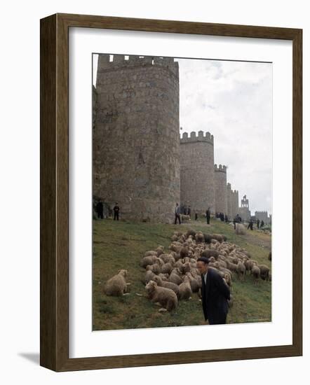 Man and sheep Surrounding Avila, Rebuilt by Alfonso VI in 1090 Ad, 9 Gate Entrance to the City-Eliot Elisofon-Framed Photographic Print