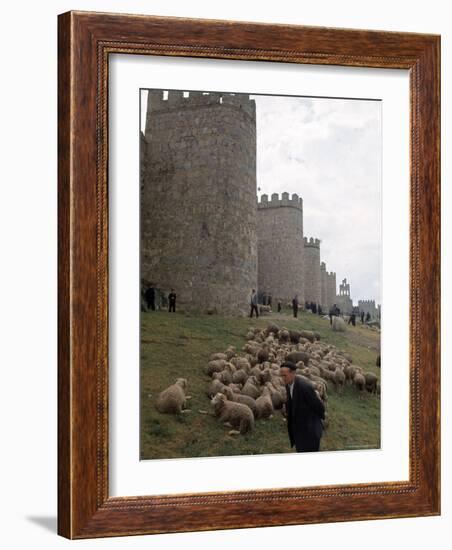 Man and sheep Surrounding Avila, Rebuilt by Alfonso VI in 1090 Ad, 9 Gate Entrance to the City-Eliot Elisofon-Framed Photographic Print