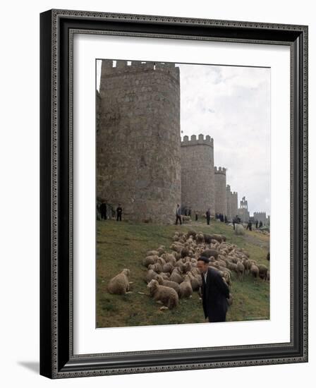 Man and sheep Surrounding Avila, Rebuilt by Alfonso VI in 1090 Ad, 9 Gate Entrance to the City-Eliot Elisofon-Framed Photographic Print