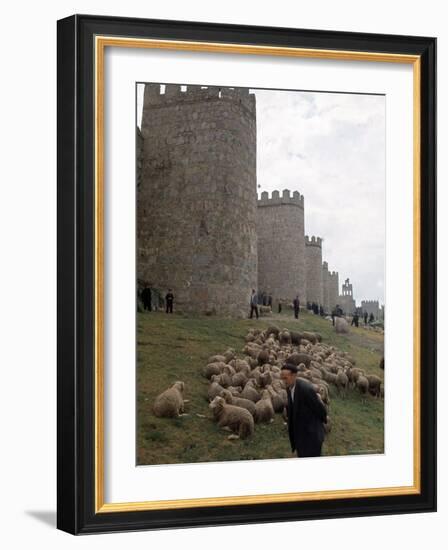 Man and sheep Surrounding Avila, Rebuilt by Alfonso VI in 1090 Ad, 9 Gate Entrance to the City-Eliot Elisofon-Framed Photographic Print