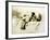 Man and Woman Making Love, Plate 2 of Liebe-Mihaly von Zichy-Framed Giclee Print