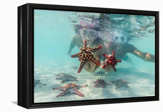 Man and woman with scuba masks showing starfish swimming underwater in the exotic lagoon-Roberto Moiola-Framed Premier Image Canvas