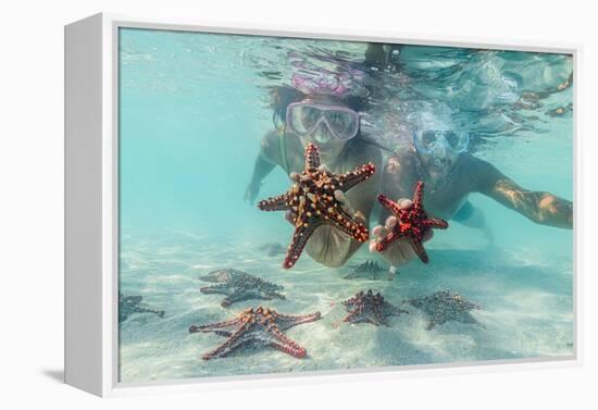 Man and woman with scuba masks showing starfish swimming underwater in the exotic lagoon-Roberto Moiola-Framed Premier Image Canvas