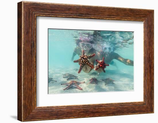 Man and woman with scuba masks showing starfish swimming underwater in the exotic lagoon-Roberto Moiola-Framed Photographic Print