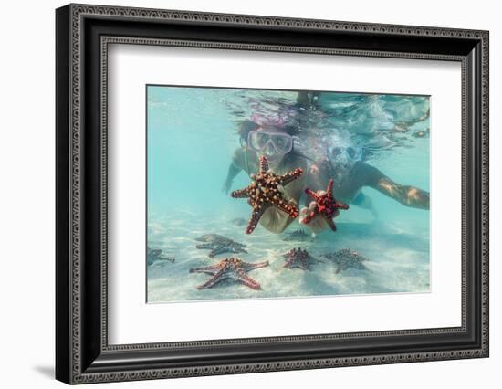 Man and woman with scuba masks showing starfish swimming underwater in the exotic lagoon-Roberto Moiola-Framed Photographic Print