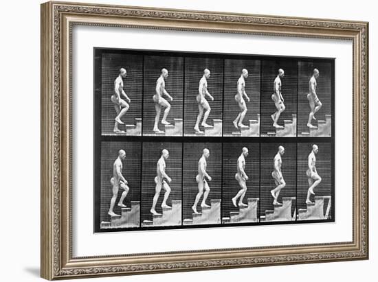 Man Ascending Stairs, from 'Animal Locomotion', 1887 (B/W Photo)-Eadweard Muybridge-Framed Giclee Print