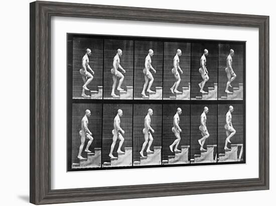 Man Ascending Stairs, from 'Animal Locomotion', 1887 (B/W Photo)-Eadweard Muybridge-Framed Giclee Print