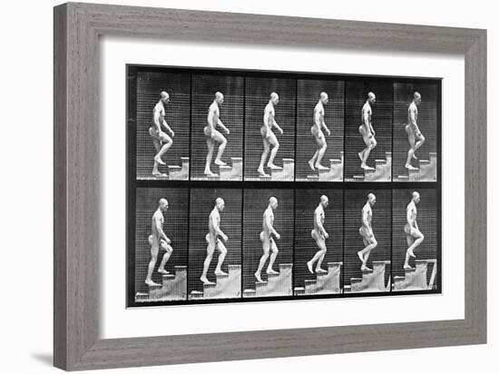 Man Ascending Stairs, from 'Animal Locomotion', 1887 (B/W Photo)-Eadweard Muybridge-Framed Giclee Print