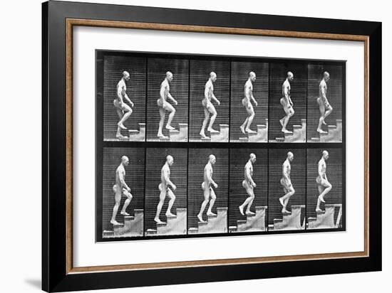 Man Ascending Stairs, from 'Animal Locomotion', 1887 (B/W Photo)-Eadweard Muybridge-Framed Giclee Print