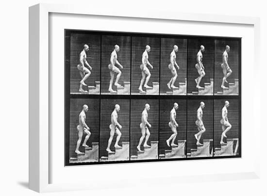 Man Ascending Stairs, from 'Animal Locomotion', 1887 (B/W Photo)-Eadweard Muybridge-Framed Giclee Print