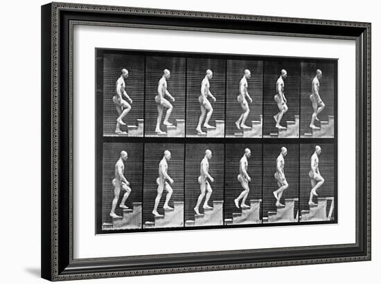 Man Ascending Stairs, from 'Animal Locomotion', 1887 (B/W Photo)-Eadweard Muybridge-Framed Giclee Print