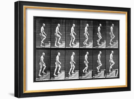 Man Ascending Stairs, from 'Animal Locomotion', 1887 (B/W Photo)-Eadweard Muybridge-Framed Giclee Print