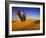 Man Atop Camel, Thar Desert, Rajasthan, India-Peter Adams-Framed Photographic Print