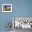 Man Atop Camel, Thar Desert, Rajasthan, India-Peter Adams-Framed Photographic Print displayed on a wall