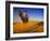 Man Atop Camel, Thar Desert, Rajasthan, India-Peter Adams-Framed Photographic Print