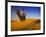 Man Atop Camel, Thar Desert, Rajasthan, India-Peter Adams-Framed Photographic Print