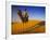 Man Atop Camel, Thar Desert, Rajasthan, India-Peter Adams-Framed Photographic Print