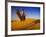 Man Atop Camel, Thar Desert, Rajasthan, India-Peter Adams-Framed Photographic Print