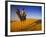 Man Atop Camel, Thar Desert, Rajasthan, India-Peter Adams-Framed Photographic Print