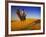 Man Atop Camel, Thar Desert, Rajasthan, India-Peter Adams-Framed Photographic Print