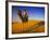 Man Atop Camel, Thar Desert, Rajasthan, India-Peter Adams-Framed Photographic Print