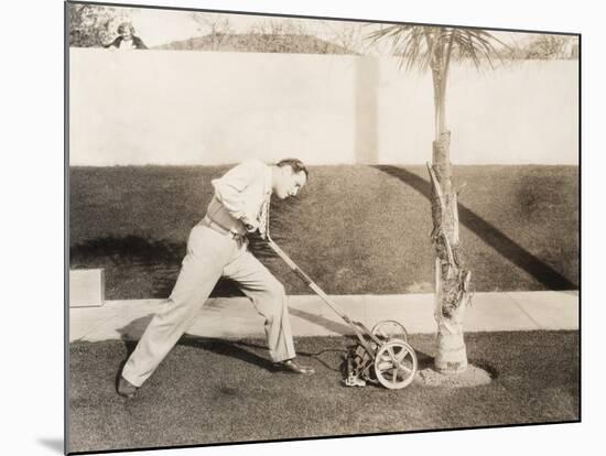 Man Attacking Palm Tree with Lawn Mower-null-Mounted Photo