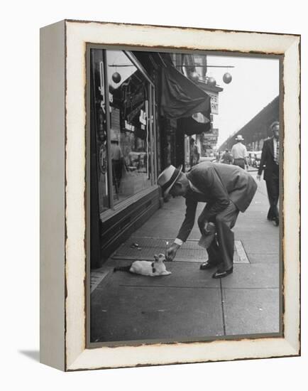 Man Bending over to Touch Cat Sitting on Sidewalk-Nina Leen-Framed Premier Image Canvas