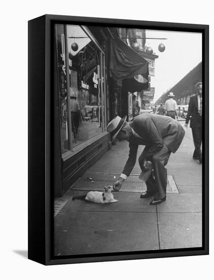 Man Bending over to Touch Cat Sitting on Sidewalk-Nina Leen-Framed Premier Image Canvas