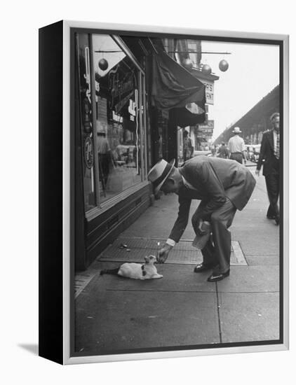 Man Bending over to Touch Cat Sitting on Sidewalk-Nina Leen-Framed Premier Image Canvas